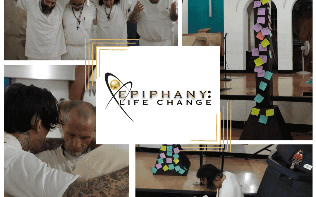 July '25 ELC static 3